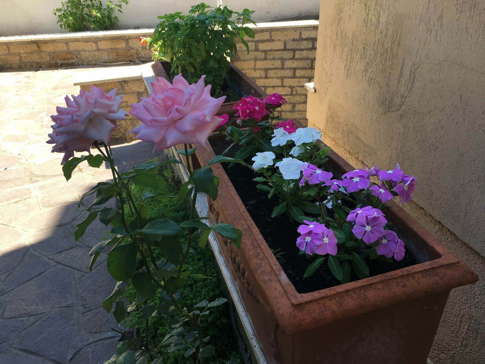 Green House Рим Екстериор снимка
